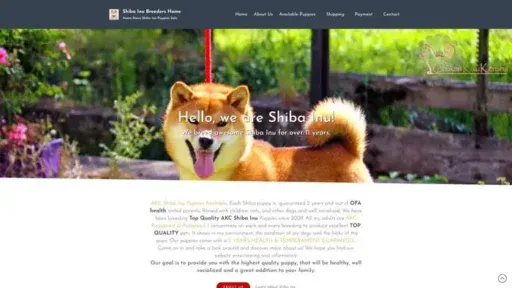 Screenshot of