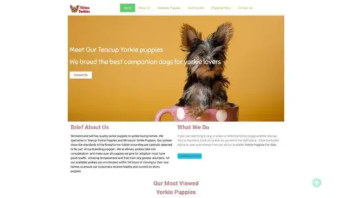 Screenshot of