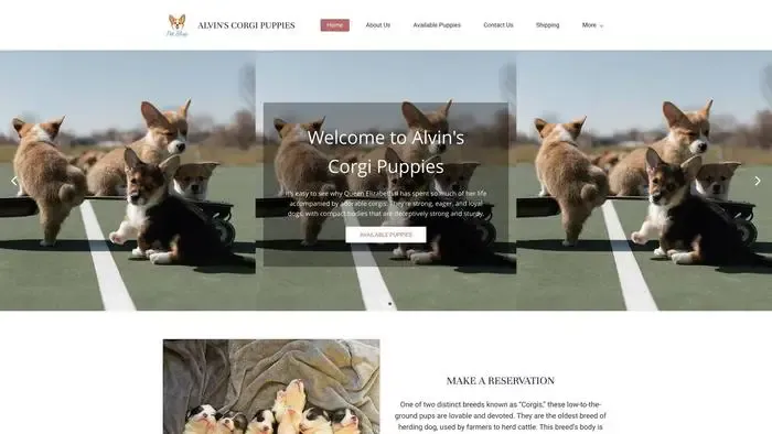 Screenshot of
