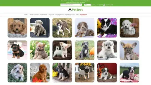 Screenshot of