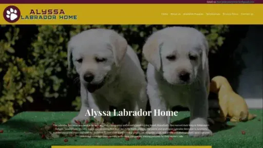 Screenshot of