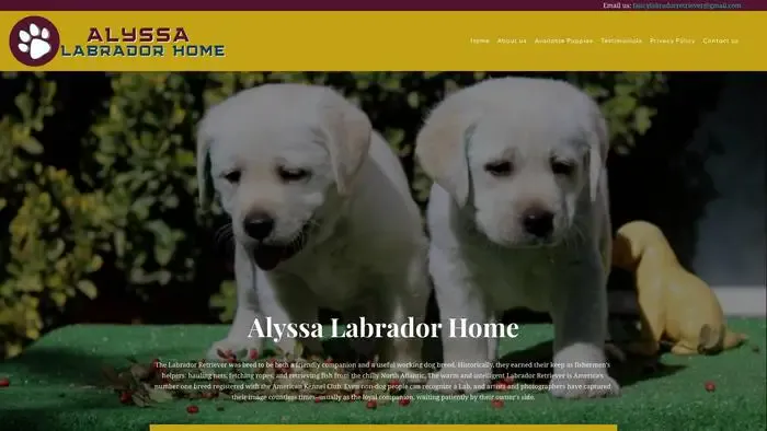 Screenshot of