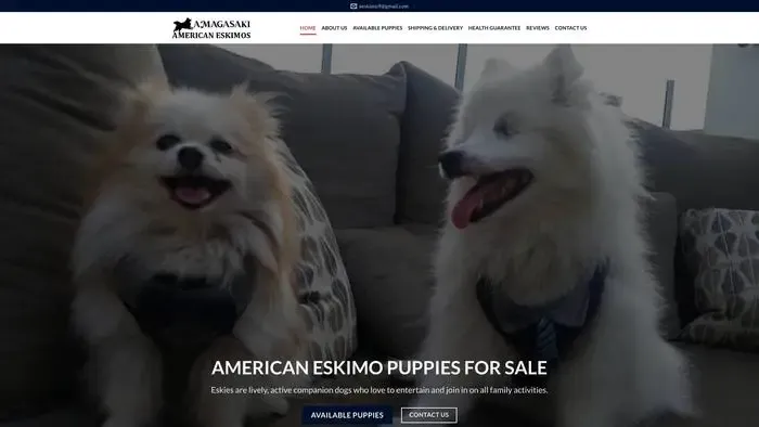 Screenshot of