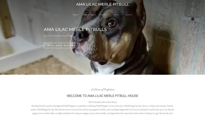 Screenshot of