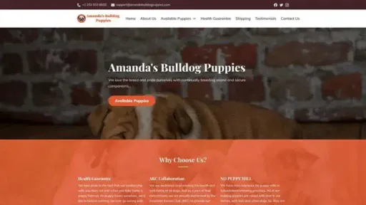 Screenshot of