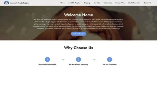 Screenshot of
