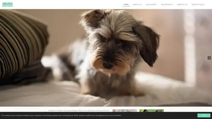 Screenshot of