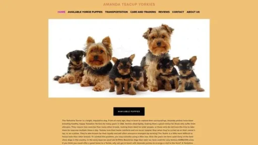 Screenshot of