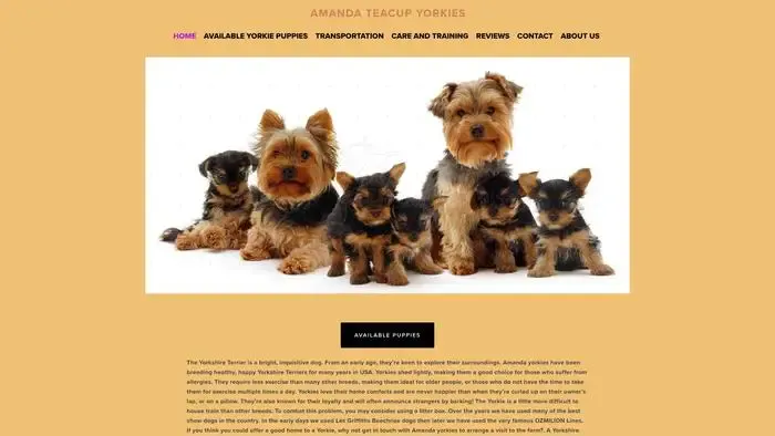 Screenshot of