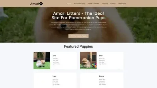 Screenshot of