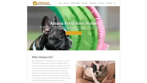 Screenshot of