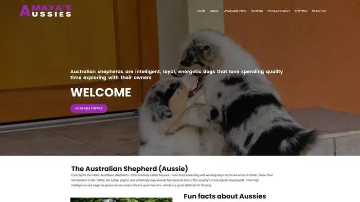 Screenshot of