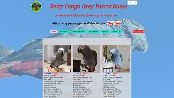 Screenshot of