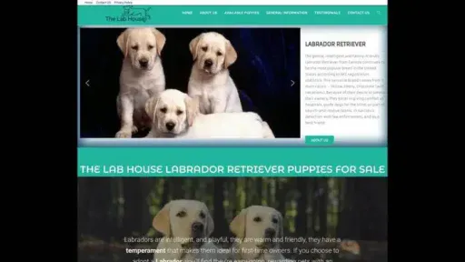 Screenshot of