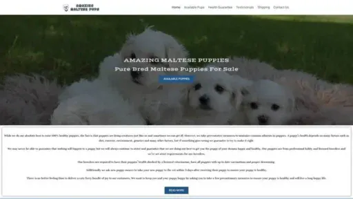 Screenshot of