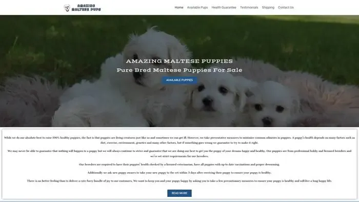 Screenshot of