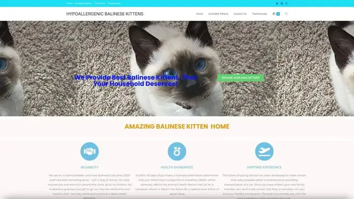 Screenshot of