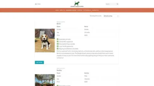 Screenshot of