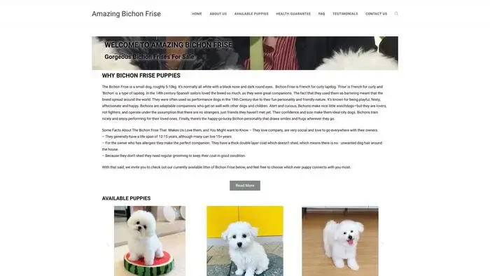 Screenshot of