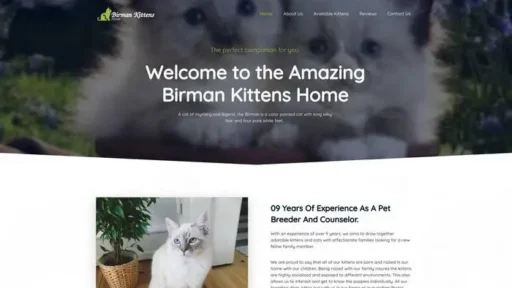 Screenshot of
