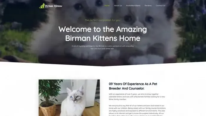 Screenshot of