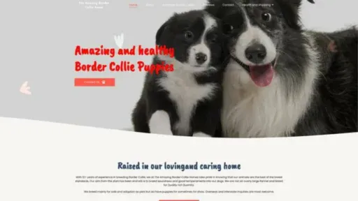 Screenshot of||