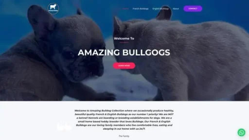 Screenshot of