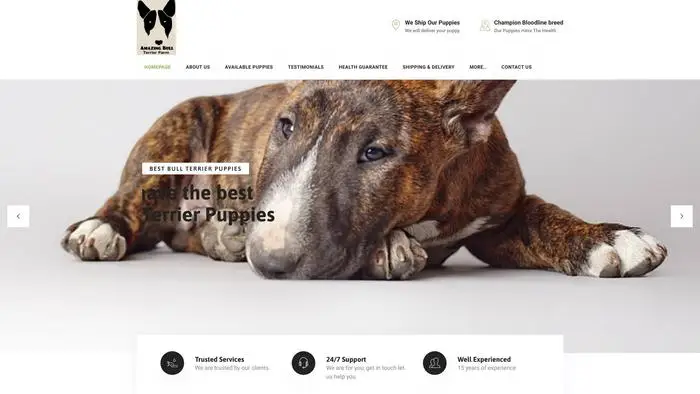 Screenshot of