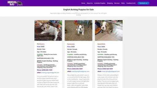 Screenshot of