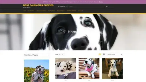 Screenshot of