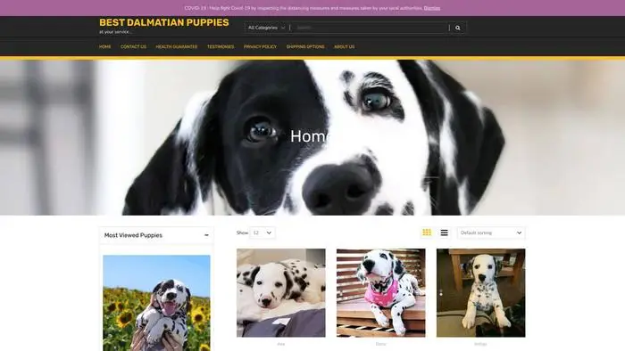 Screenshot of