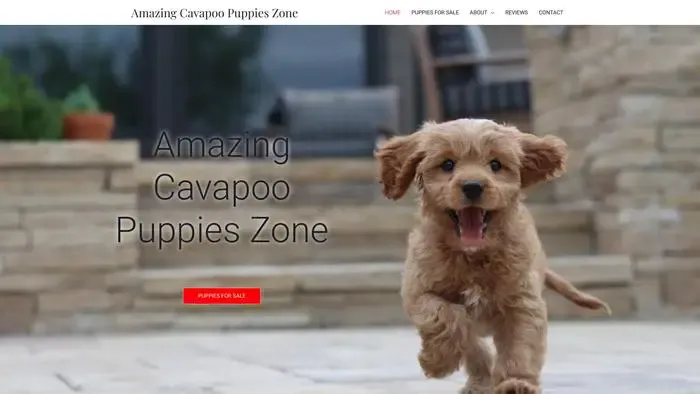 Screenshot of
