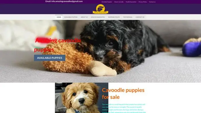 Screenshot of