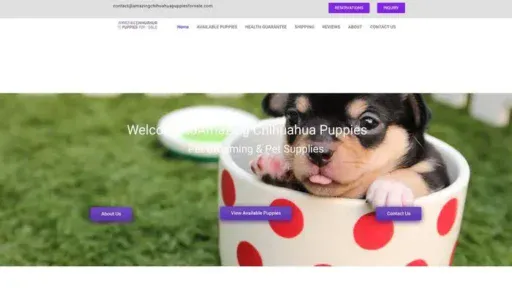 Screenshot of