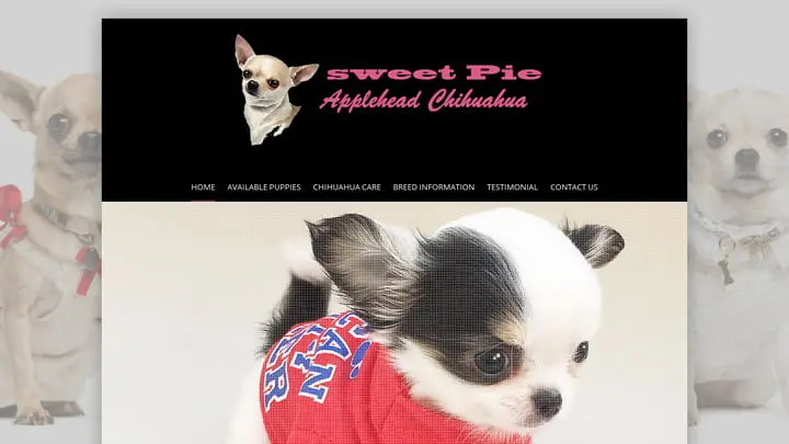 Screenshot of