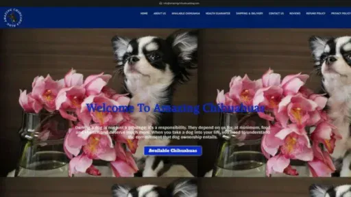 Screenshot of||