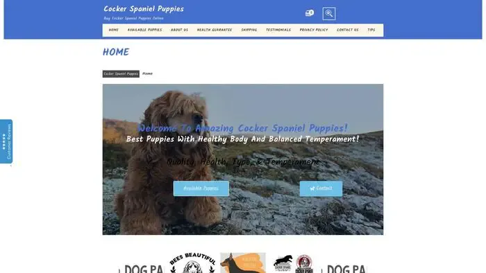 Screenshot of