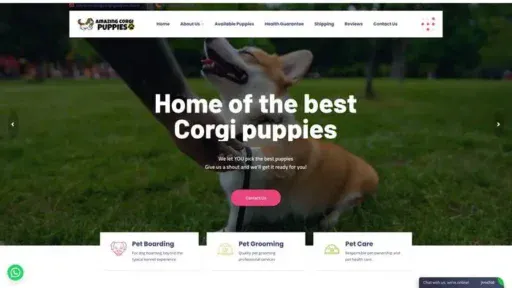 Screenshot of