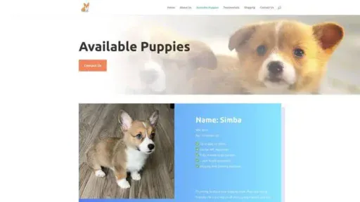 Screenshot of