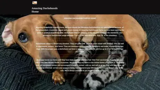 Screenshot of