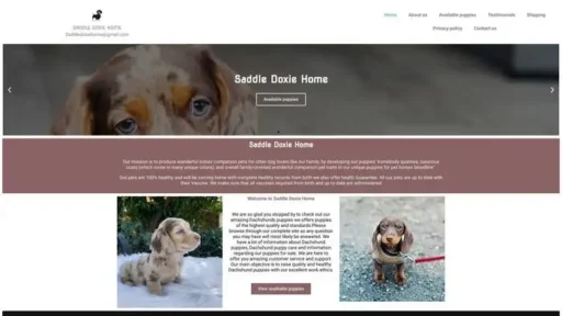 Screenshot of