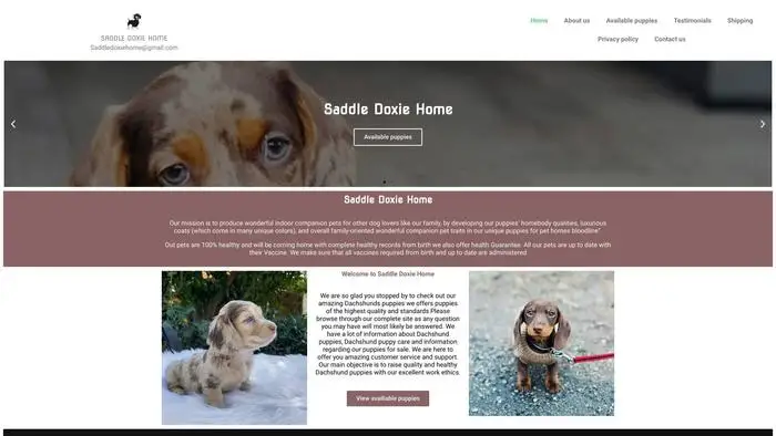 Screenshot of