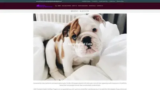 Screenshot of