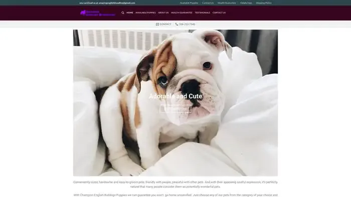 Screenshot of