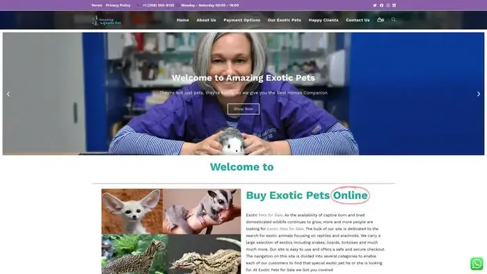 Screenshot of