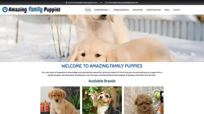 Screenshot of
