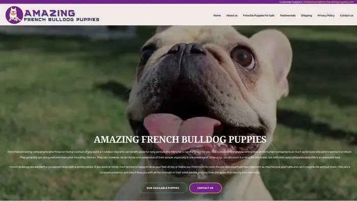 Screenshot of