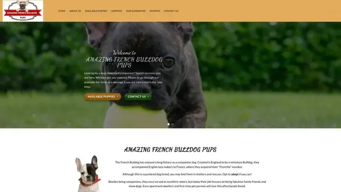 Screenshot of