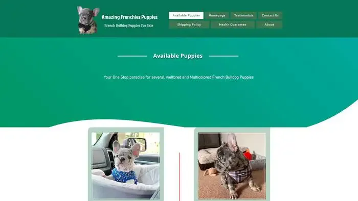 Screenshot of