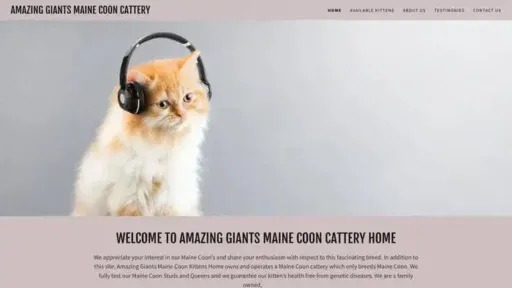 Screenshot of